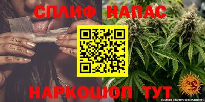 крисы Жуковский
