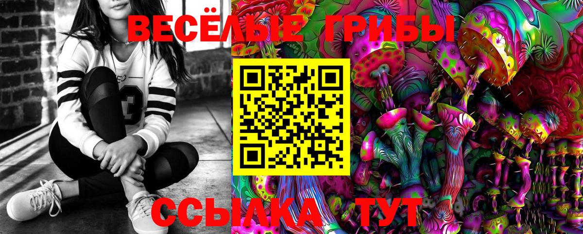 Псилоцибиновые грибы Cubensis  Вход с VPN  Галлюциногенные грибы мицелий  Назарово 