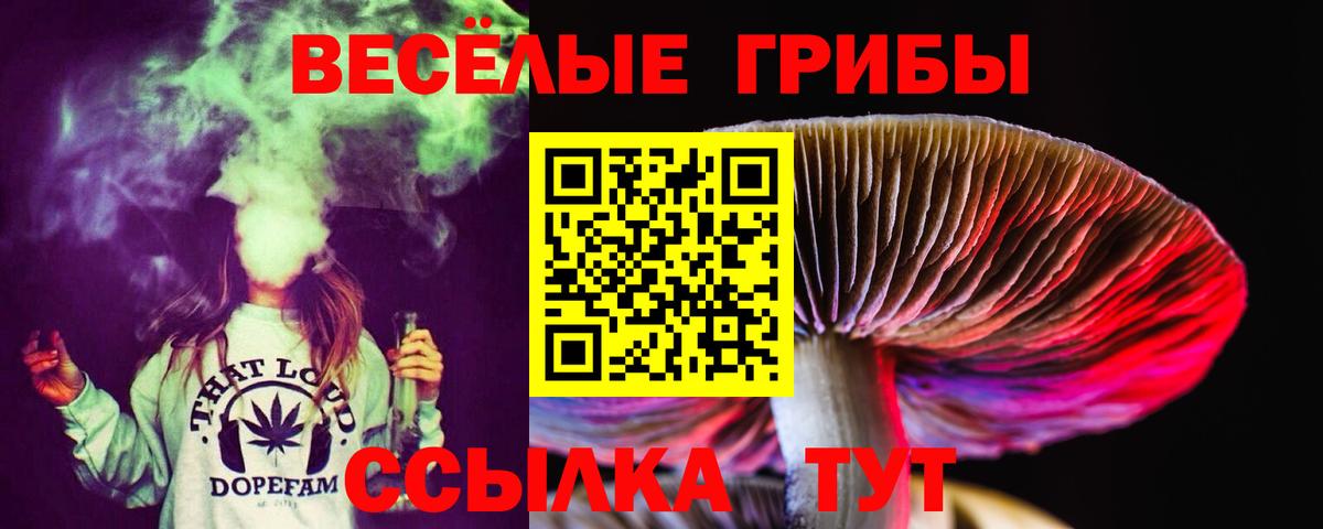 Псилоцибиновые грибы MAGIC MUSHROOMS Назарово
